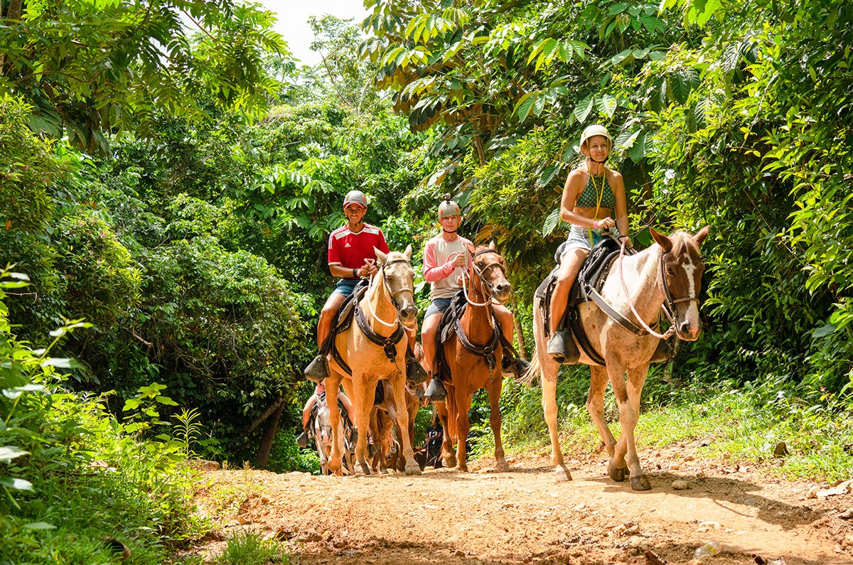 Macao Horses (Horseback Riding) - Image 4