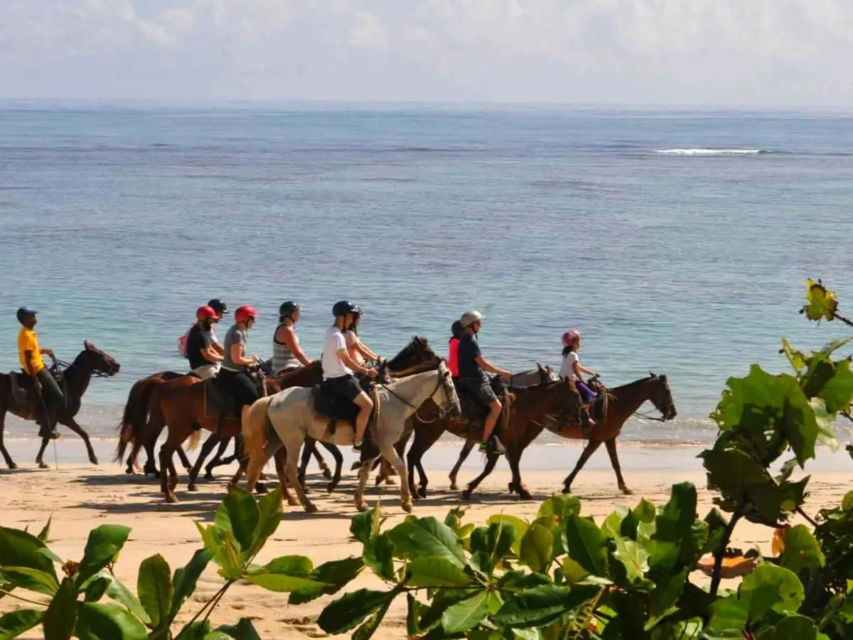Macao Horses (Horseback Riding) - Image 3
