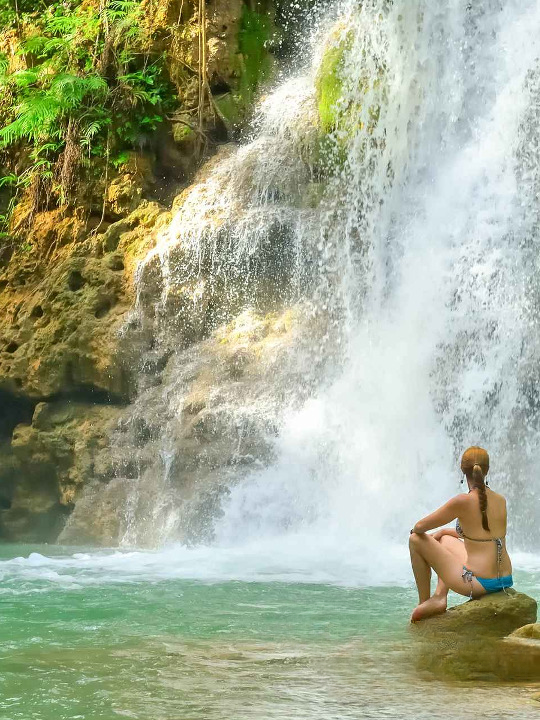 Samana Whale Watching - Image 5