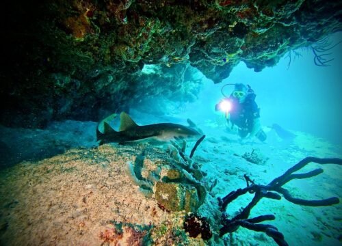 Punta Cana Party Boat Excursions
