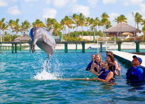 Saona Island Excursions