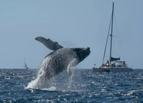 Horseback Riding in Macao