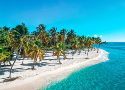 Punta Cana Transfer Service