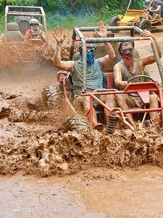 Boogie / Polaris (Buggy) - Image 5