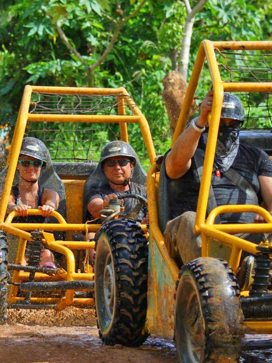 Boogie / Polaris (Buggy) - Image 4