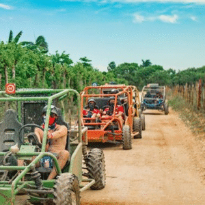 Boogie / Polaris (Buggy)