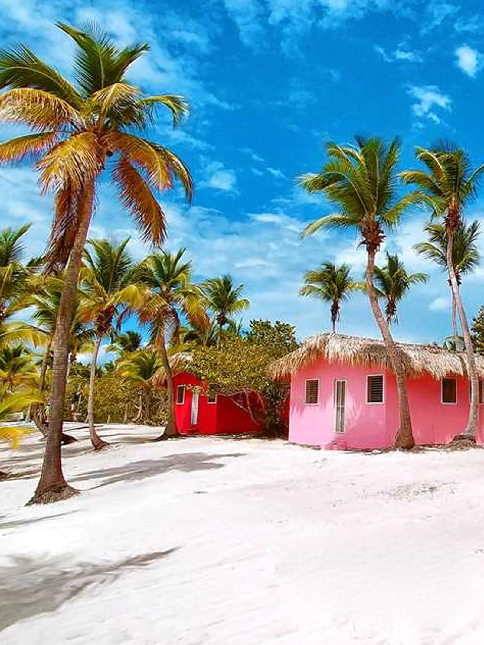 Catalina Island - Image 4